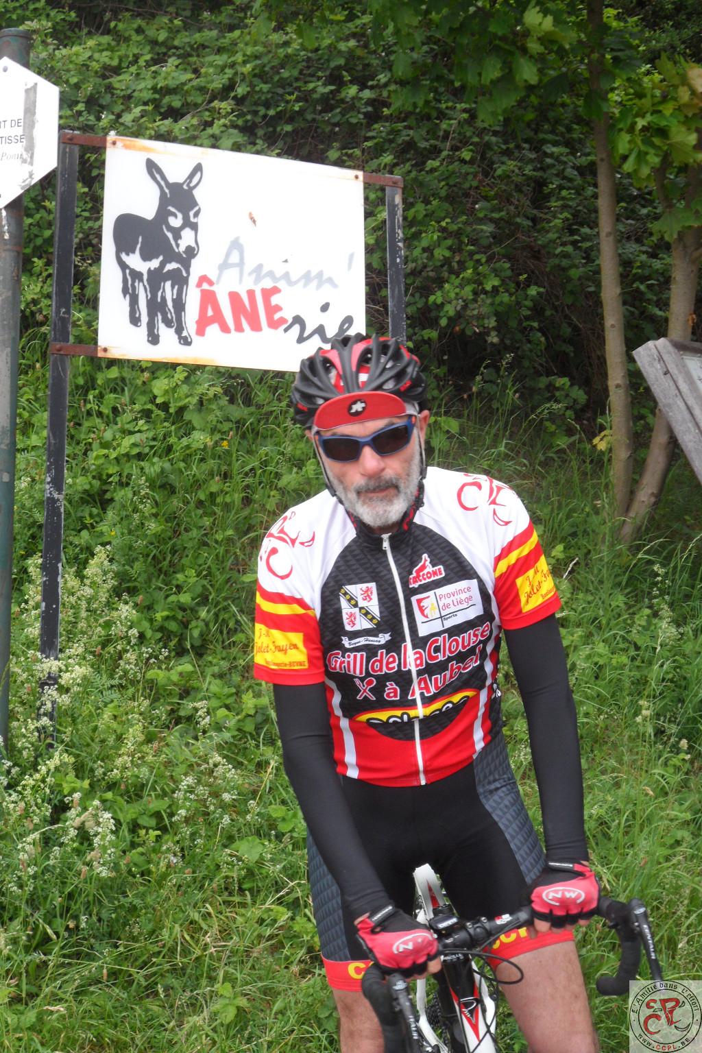 Au Royaume des Ânes